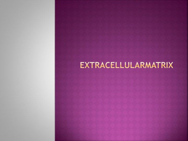 extracellularmatrix