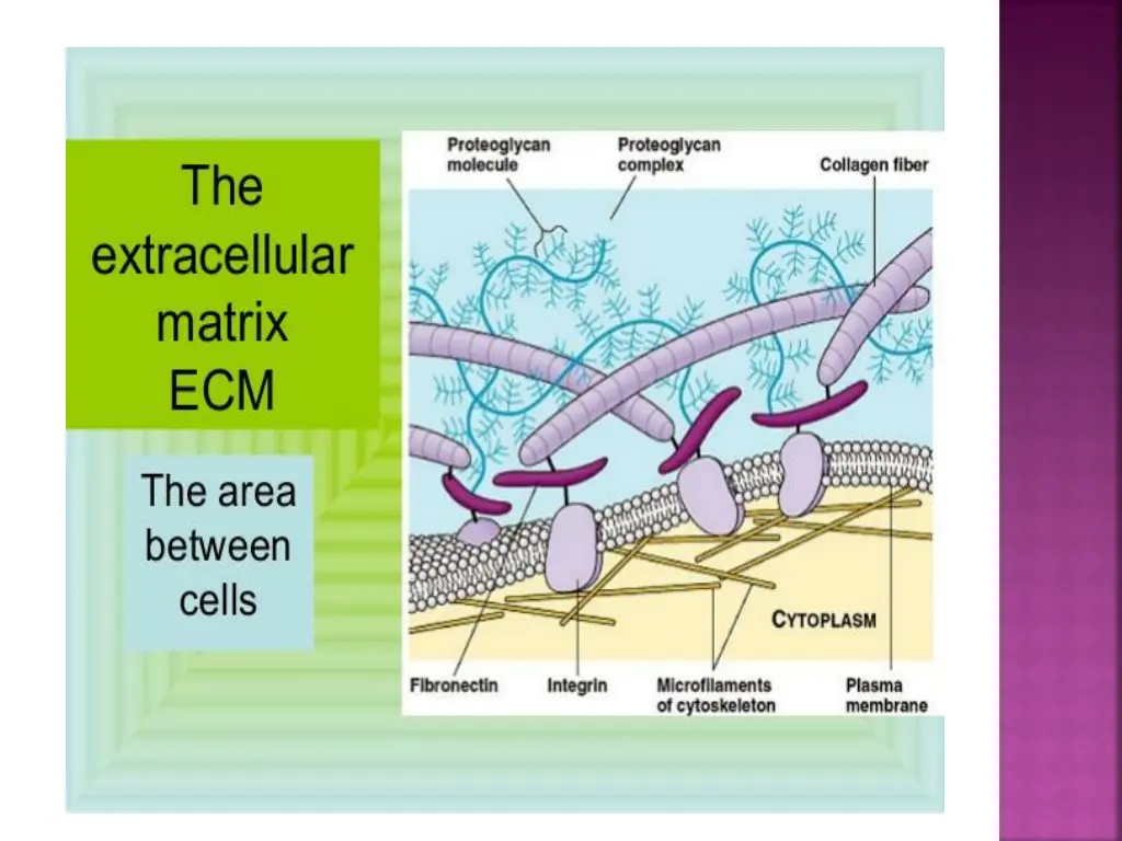 slide4