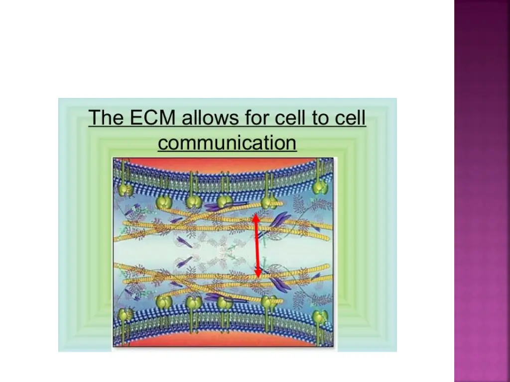 slide7