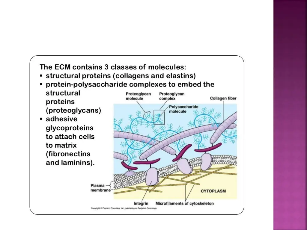 slide8