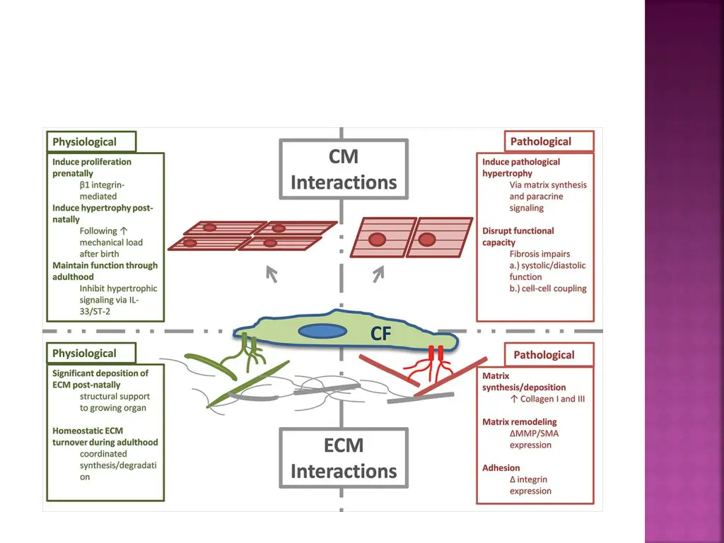 slide9