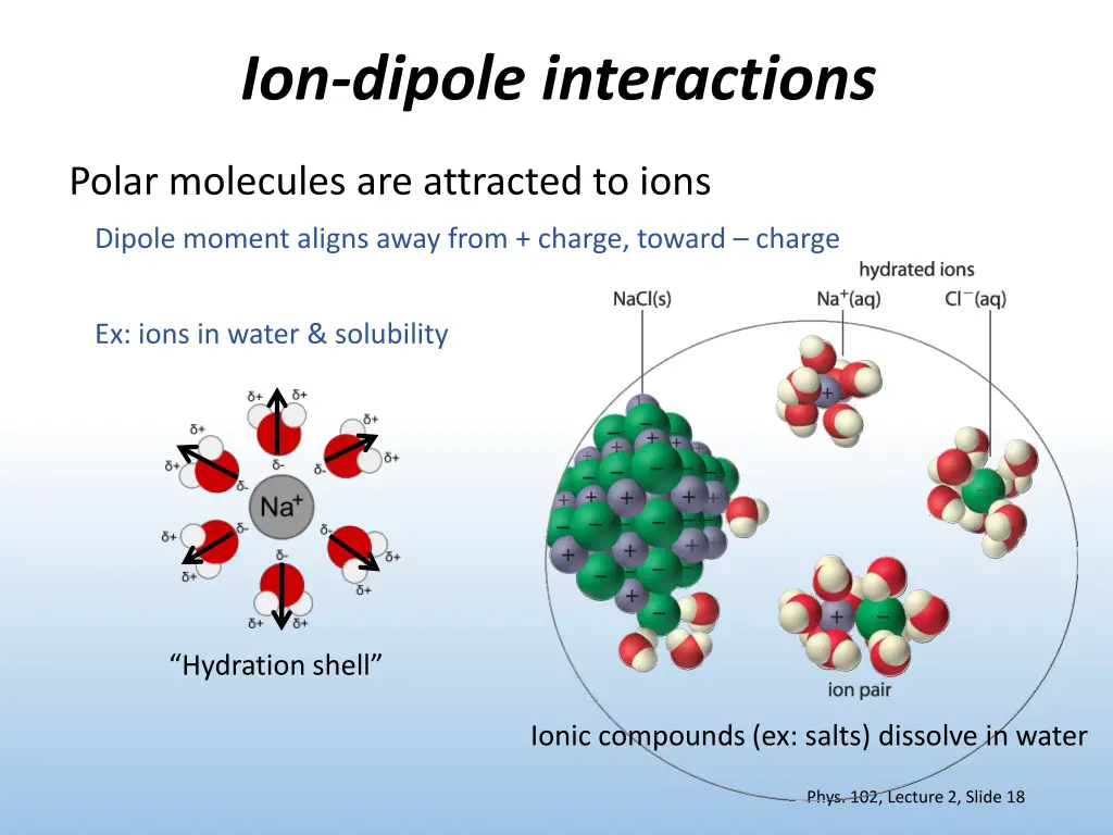 ion dipole interactions