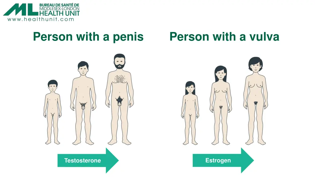 person with a penis