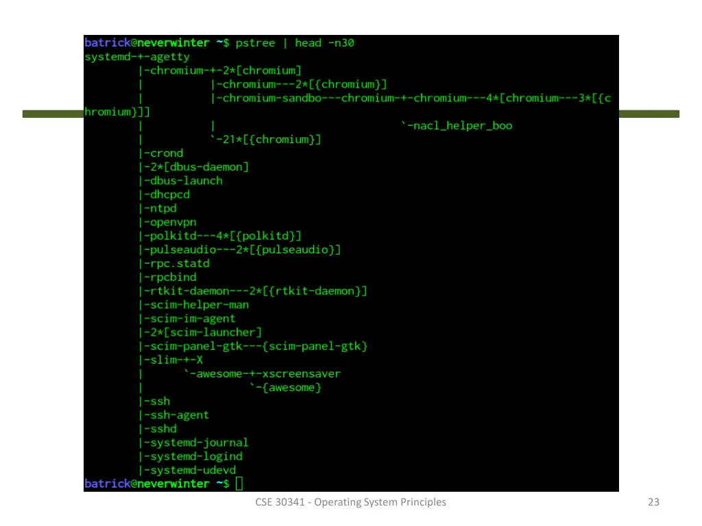 cse 30341 operating system principles 5