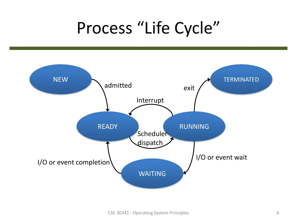 process life cycle