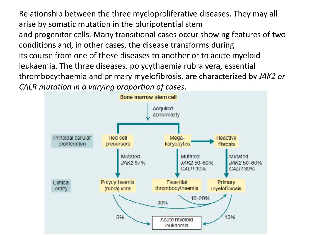 relationship between the three myeloproliferative
