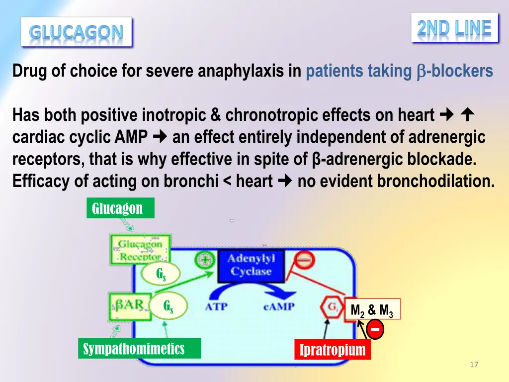 drug of choice for severe anaphylaxis in patients
