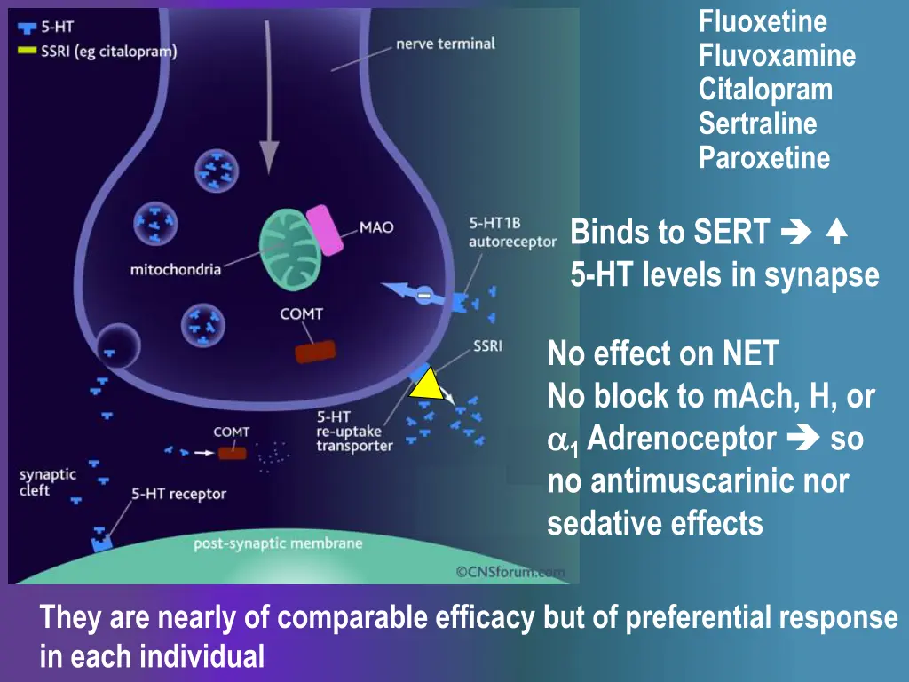fluoxetine fluvoxamine citalopram sertraline 1