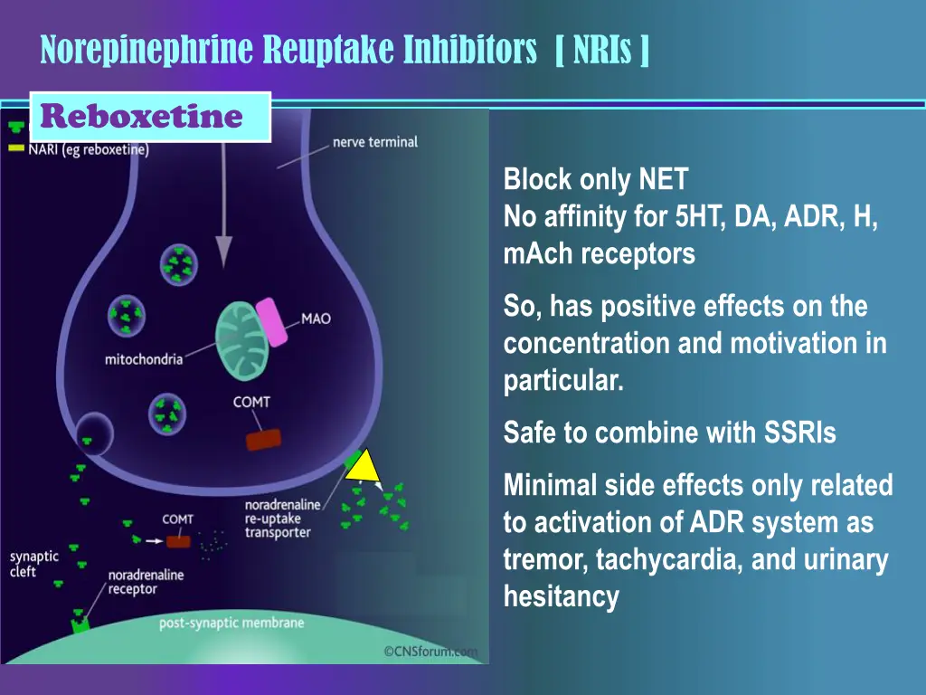 norepinephrine reuptake inhibitors nris