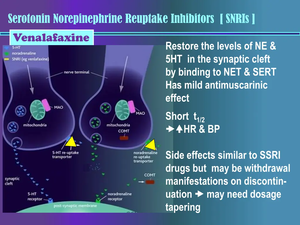 serotonin norepinephrine reuptake inhibitors