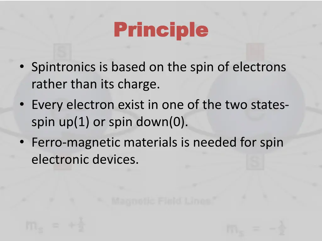 principle principle