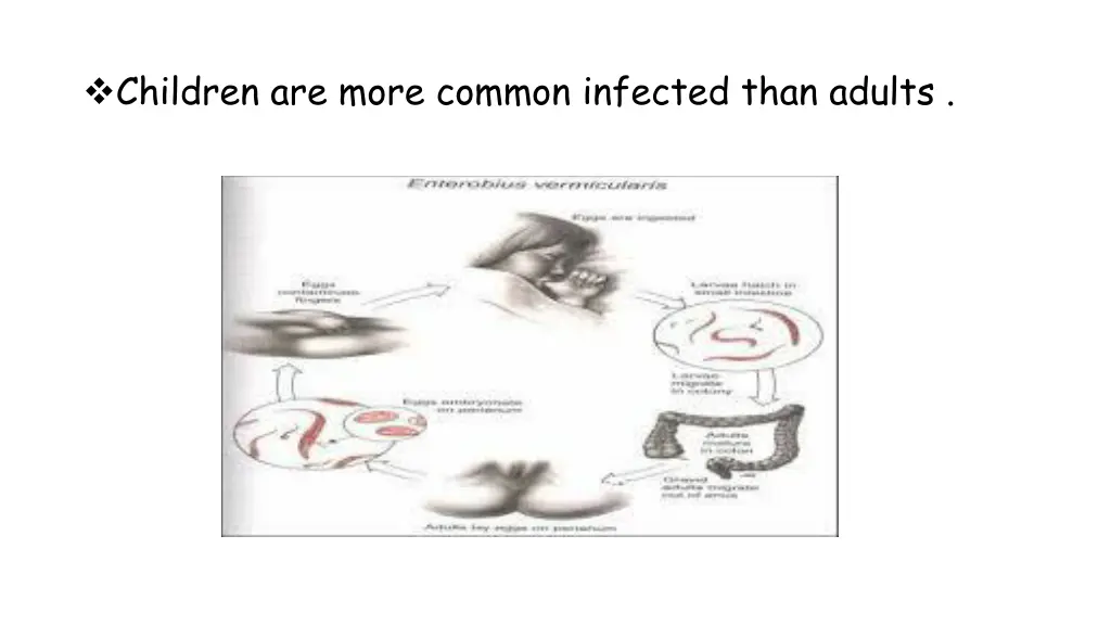 children are more common infected than adults