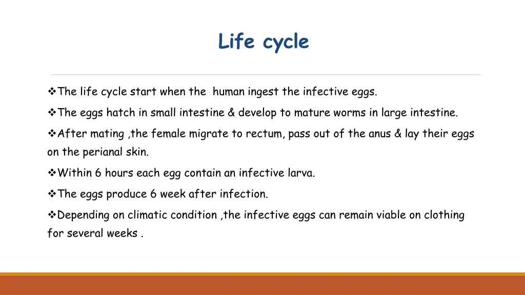 life cycle