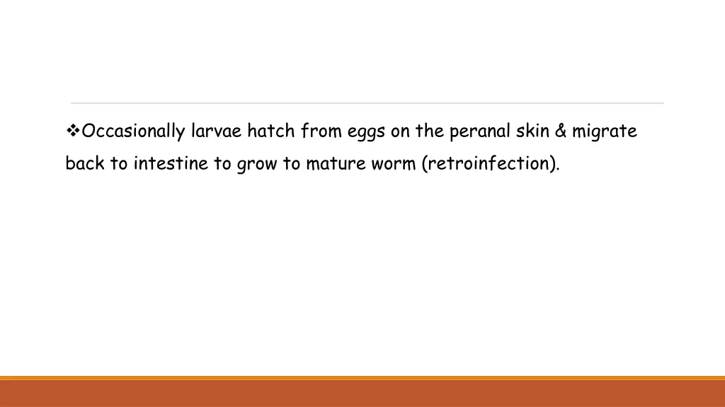 occasionally larvae hatch from eggs