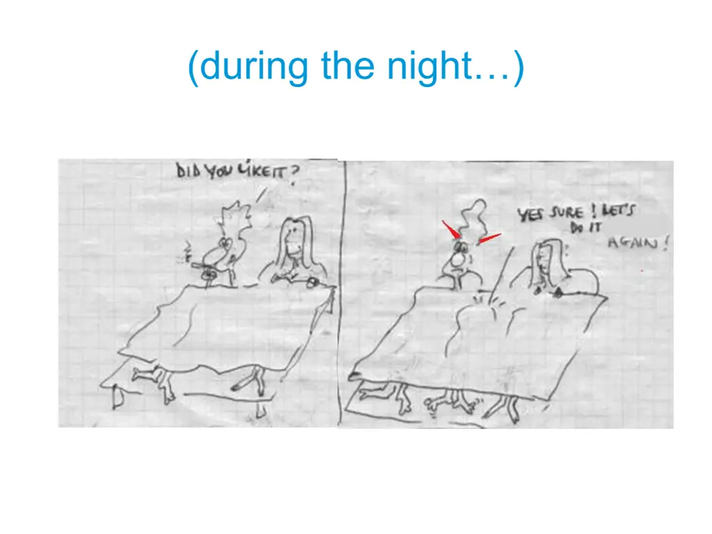 during the night