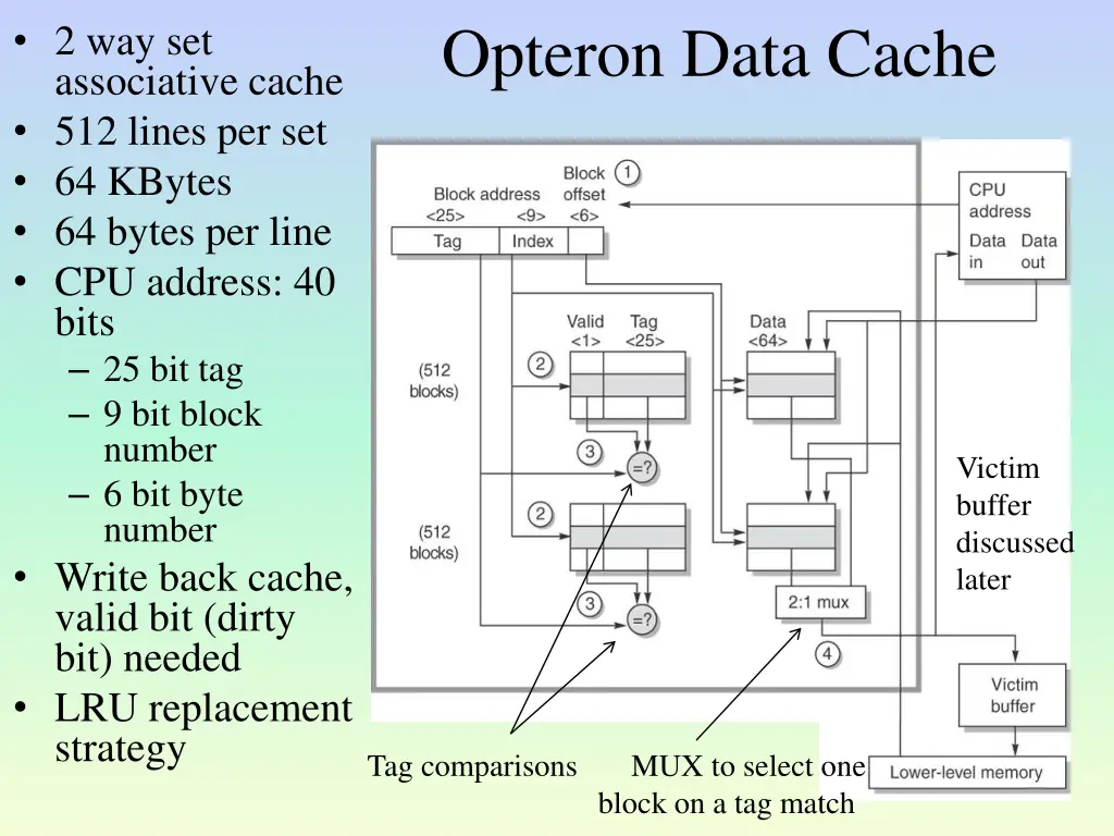 opteron data cache