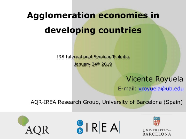 agglomeration economies in