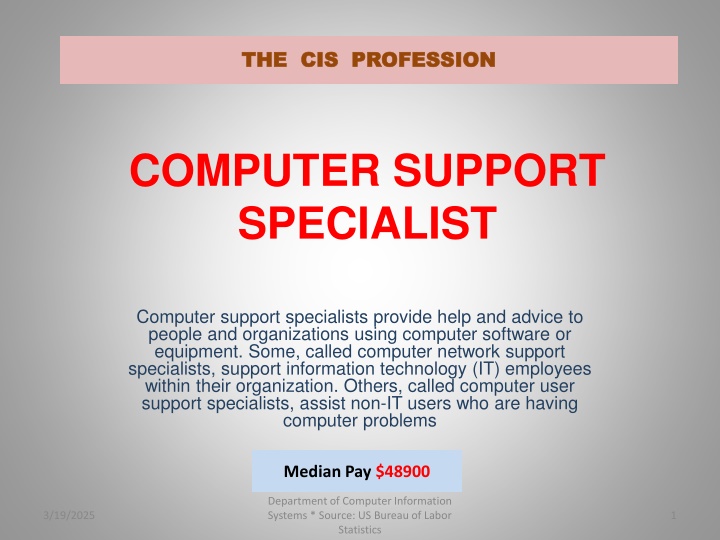 the cis profession the cis profession