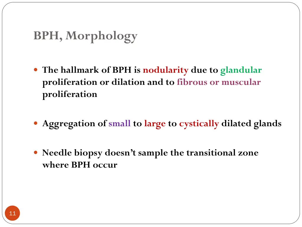 bph morphology 1