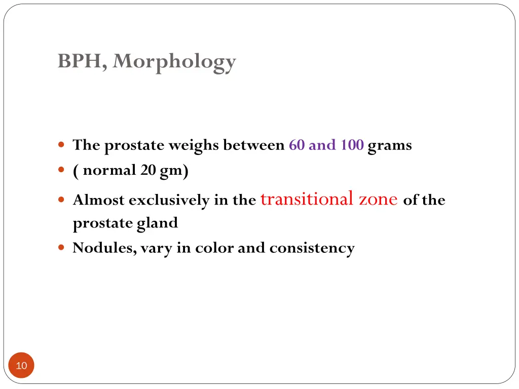 bph morphology