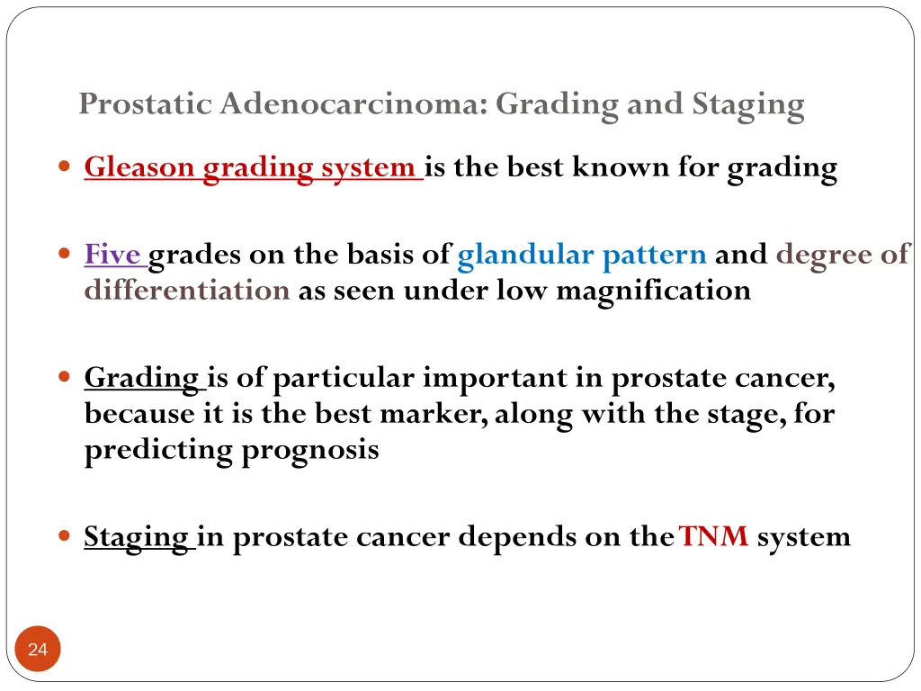 prostatic adenocarcinoma grading and staging