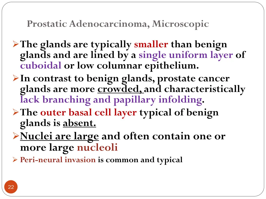 prostatic adenocarcinoma microscopic