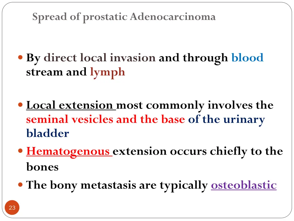 spread of prostatic adenocarcinoma