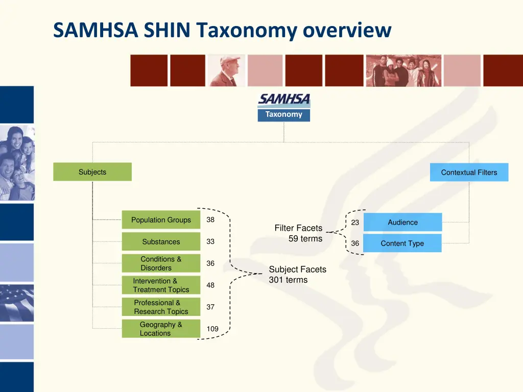 samhsa shin taxonomy overview