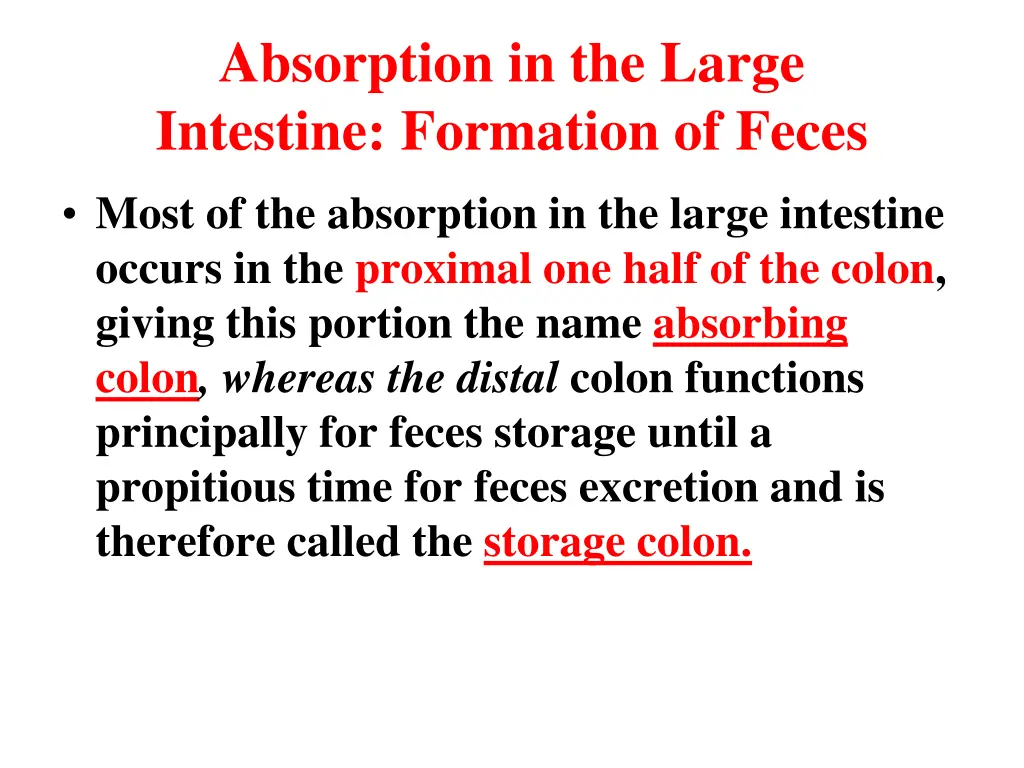 absorption in the large intestine formation