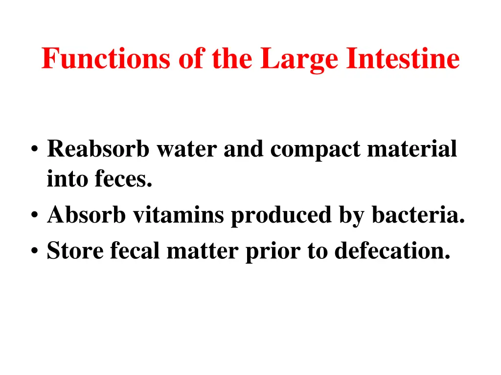 functions of the large intestine