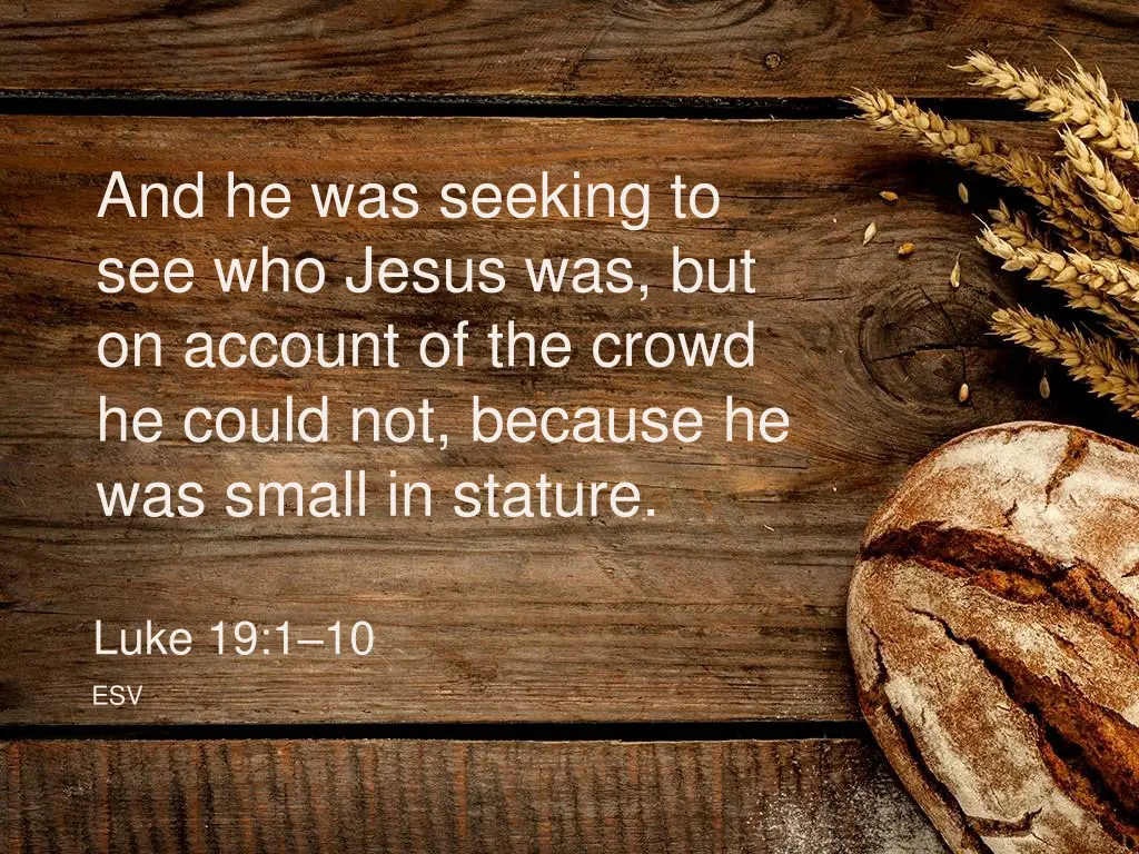 and he was seeking to see who jesus