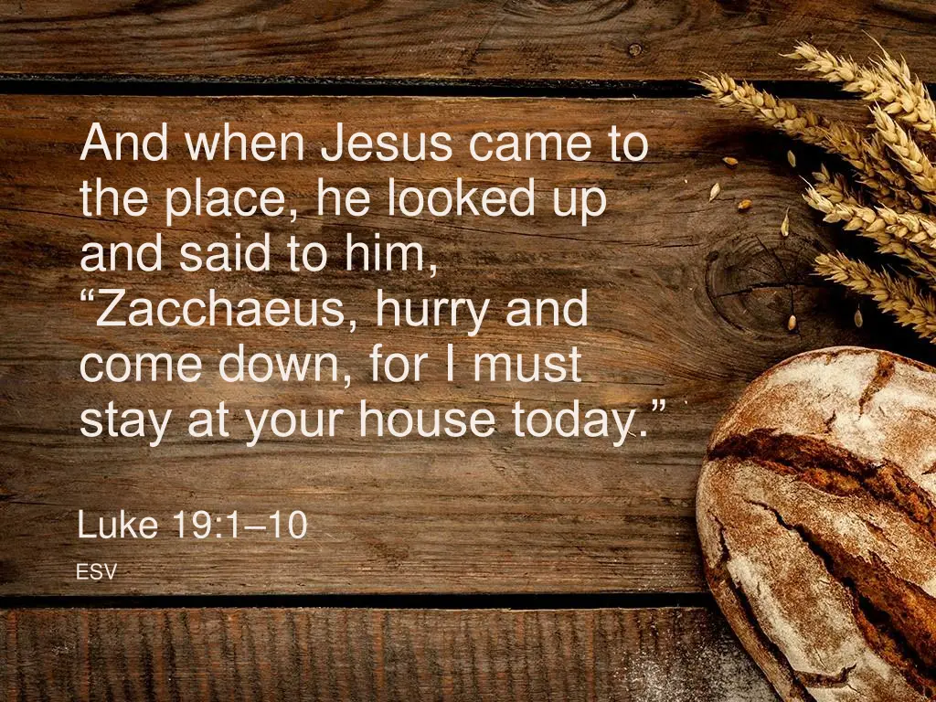 and when jesus came to the place he looked