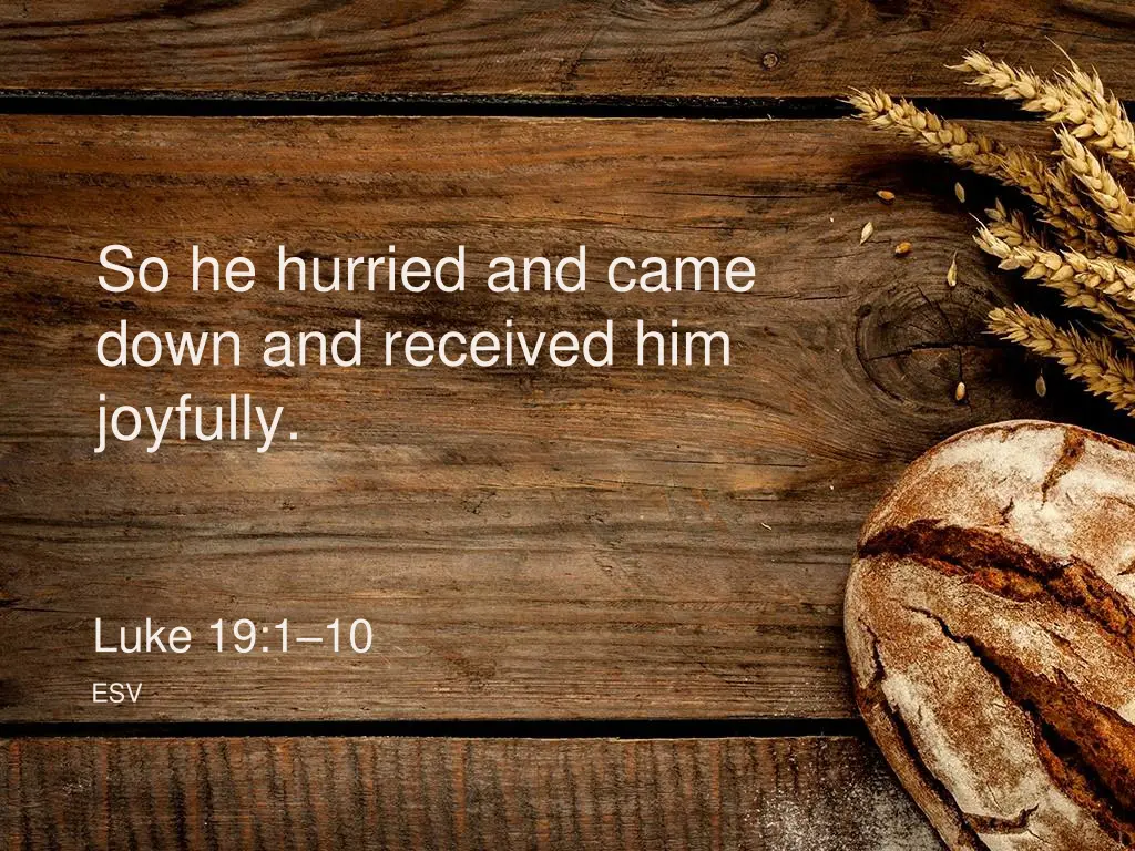 so he hurried and came down and received