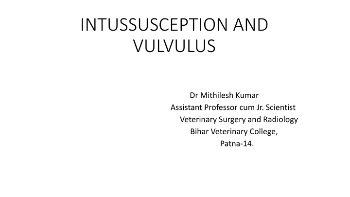 intussusception and vulvulus