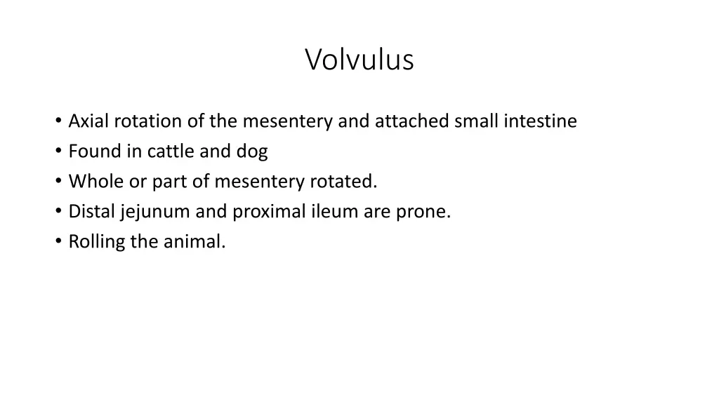 volvulus
