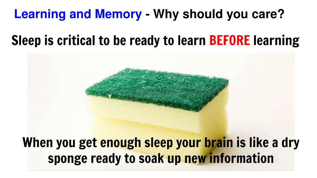 learning and memory why should you care