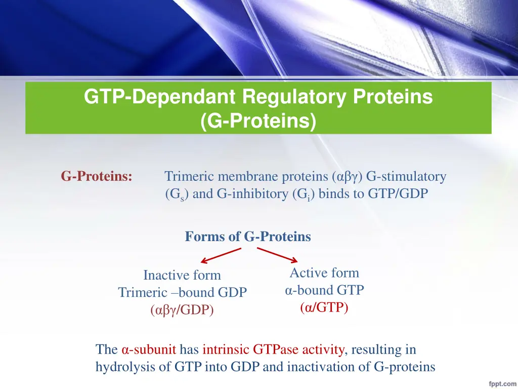gtp dependant regulatory proteins g proteins