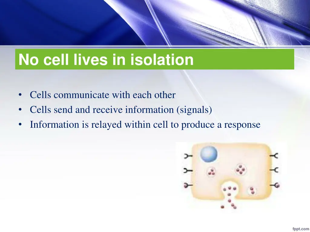 no cell lives in isolation