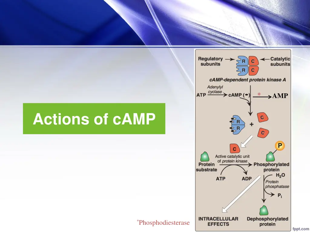 slide14