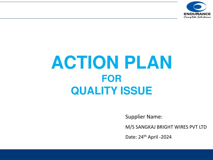 action plan for quality issue