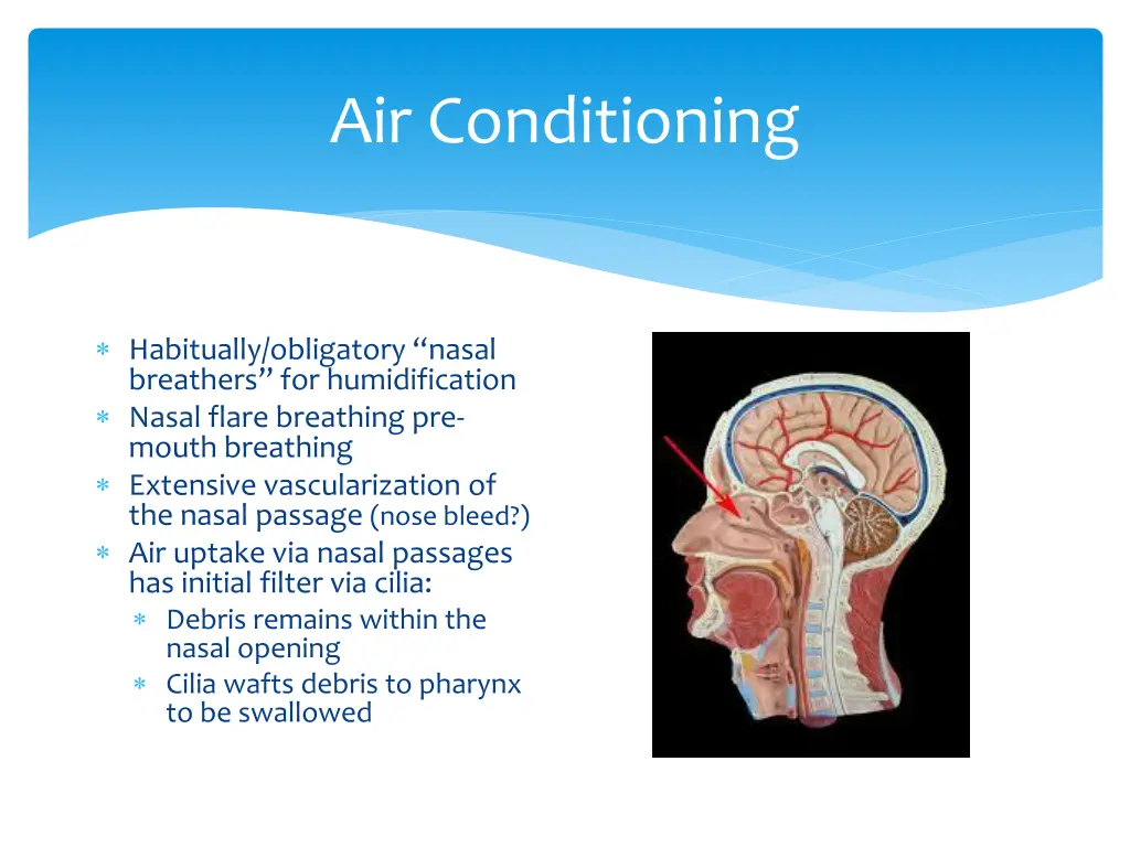 air conditioning
