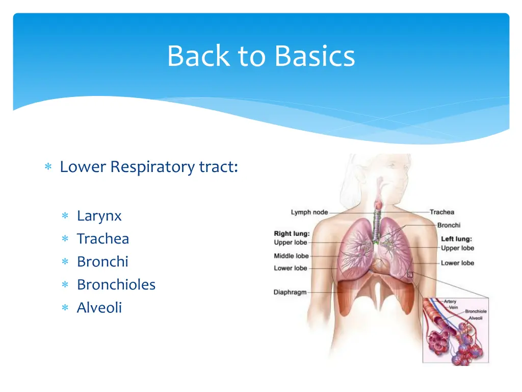 back to basics 1