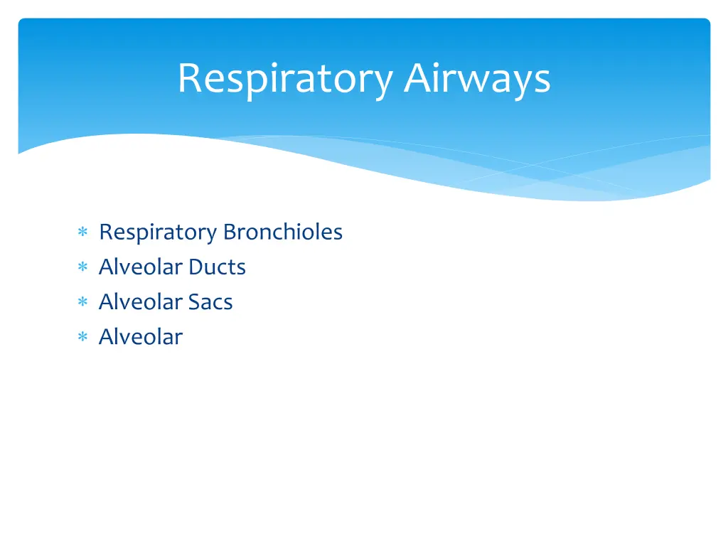 respiratory airways