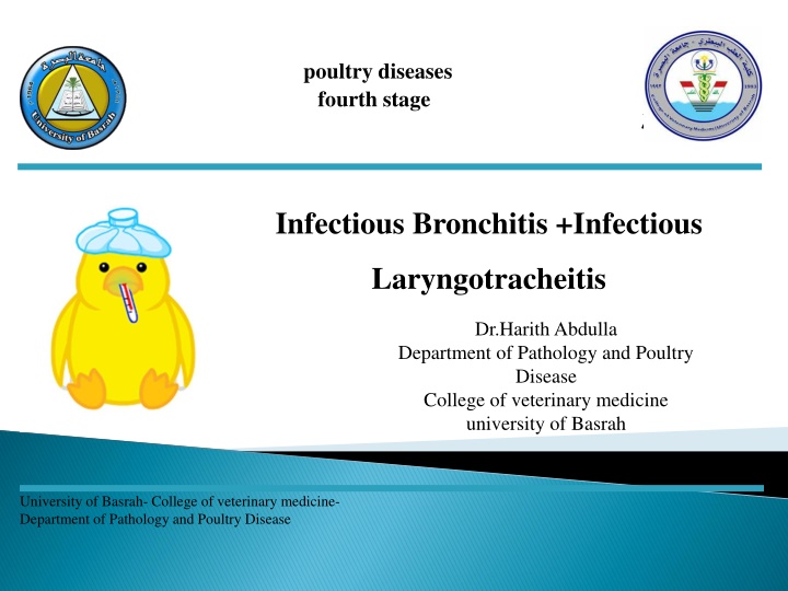 poultry diseases fourth stage