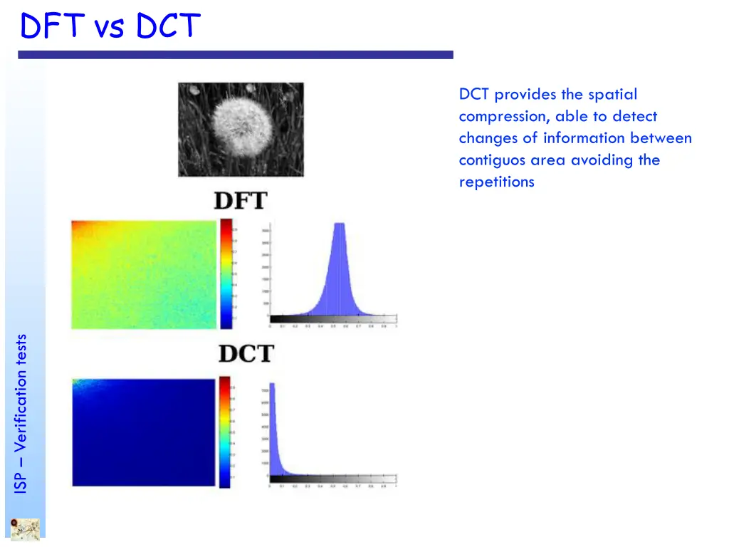 dft vs dct
