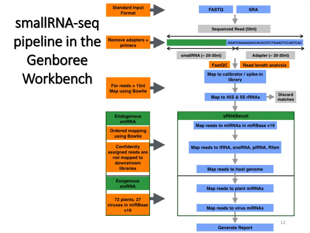 smallrna smallrna seq pipeline in the pipeline
