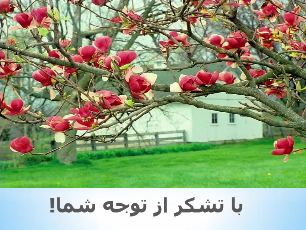 slide14