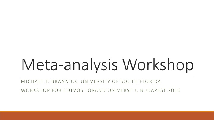 meta analysis workshop