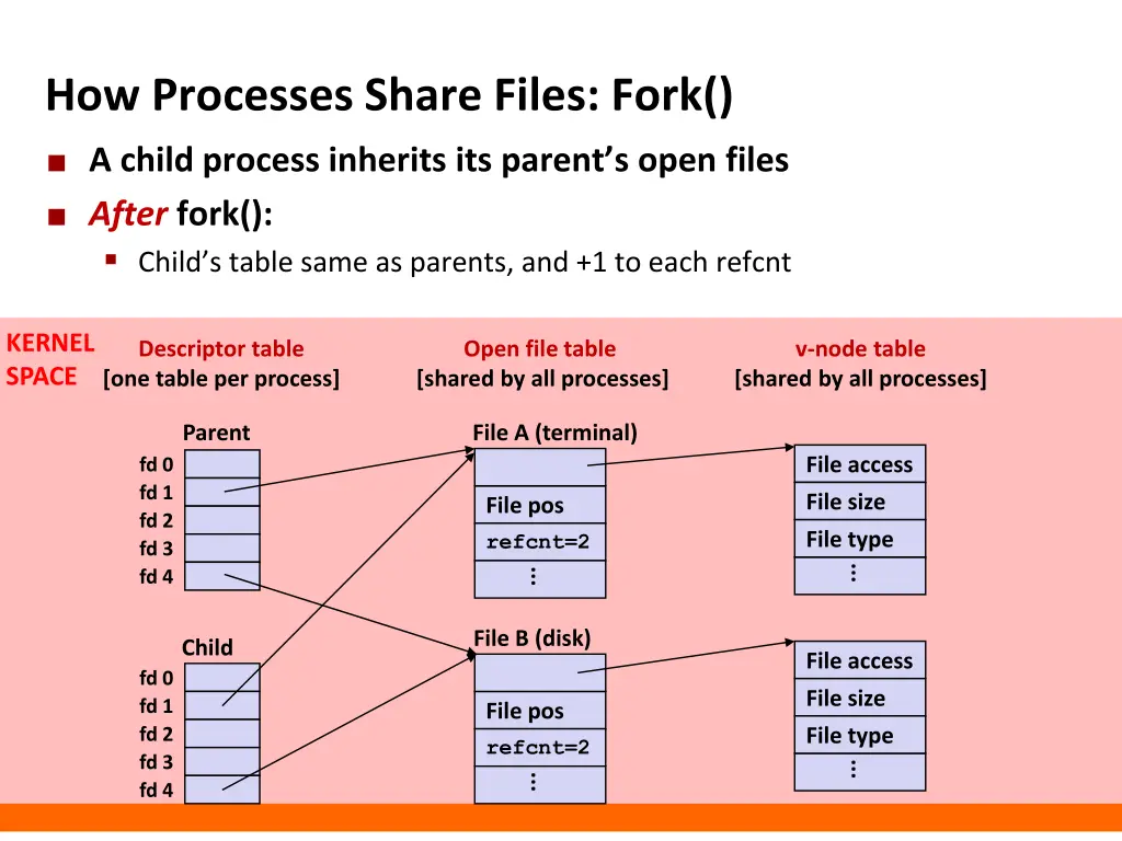 how processes share files fork 1