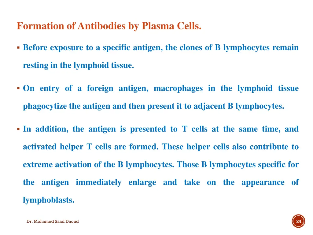 formation of antibodies by plasma cells